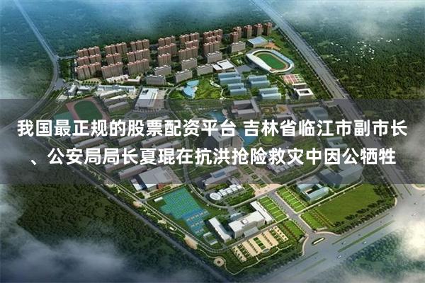我国最正规的股票配资平台 吉林省临江市副市长、公安局局长夏琨在抗洪抢险救灾中因公牺牲
