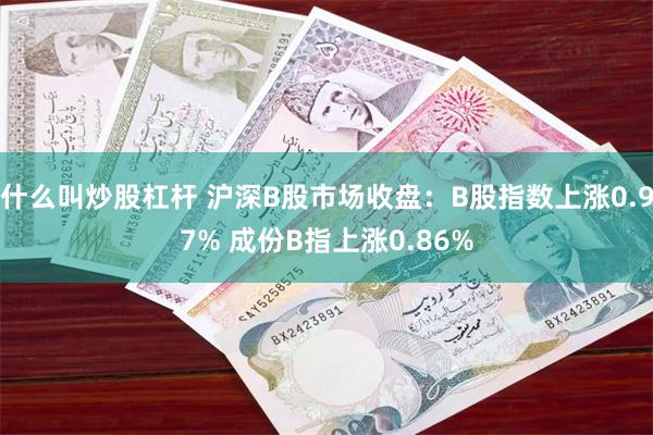 什么叫炒股杠杆 沪深B股市场收盘：B股指数上涨0.97% 成份B指上涨0.86%