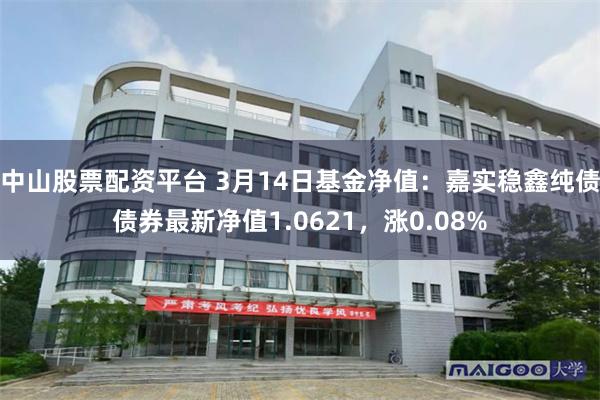 中山股票配资平台 3月14日基金净值：嘉实稳鑫纯债债券最新净值1.0621，涨0.08%