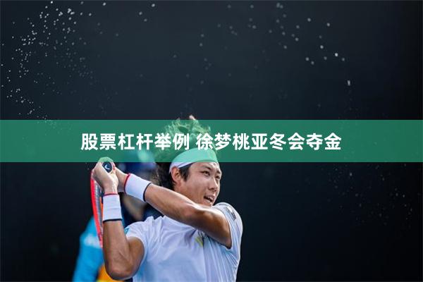 股票杠杆举例 徐梦桃亚冬会夺金