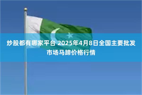 炒股都有哪家平台 2025年4月8日全国主要批发市场马蹄价格行情
