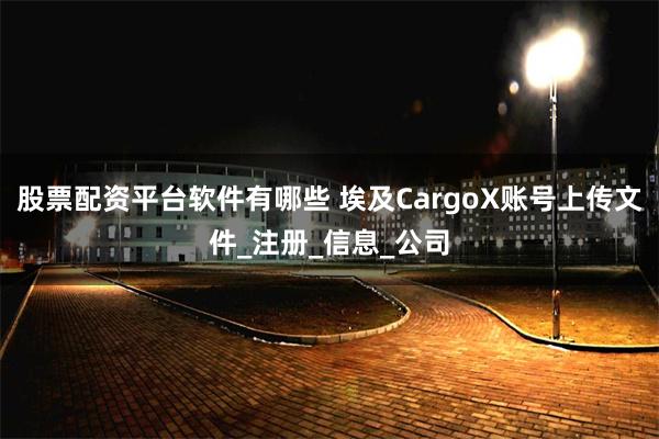 股票配资平台软件有哪些 埃及CargoX账号上传文件_注册_信息_公司